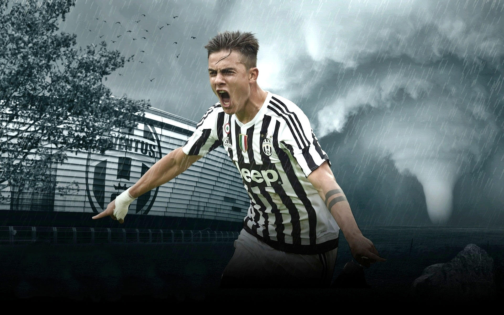 content-update-cycle