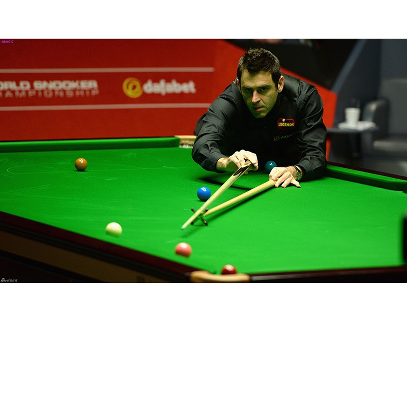 他们在联赛 他们在联赛